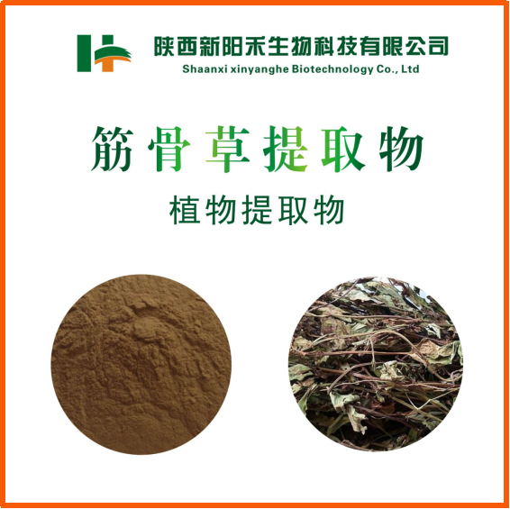 筋骨草提取物  土克甾醇2%-10%