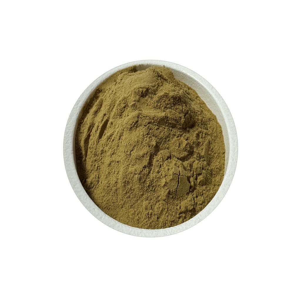 当归提取物   藁本内脂