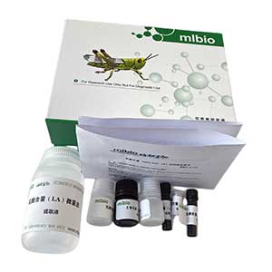 NADPH-细胞色素C还原酶(NCR)测定试剂盒/分光光度法/48样