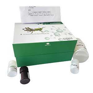 硫氧还蛋白过氧化物酶(TPX)测定试剂盒/微量法/96S