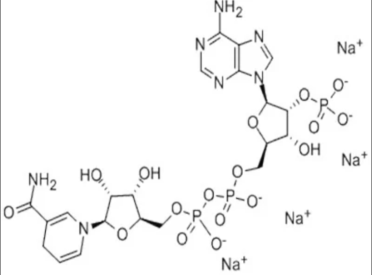 还原型烟酰胺腺嘌呤二核苷酸磷酸