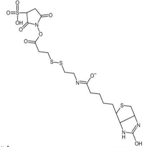 Biotin-SS-Sulfo-NHS ester，生物素-二硫键-NHS酯
