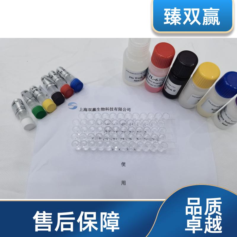 人Bcl2拮抗;杀伤因子1(BAK1)ELISA试剂盒