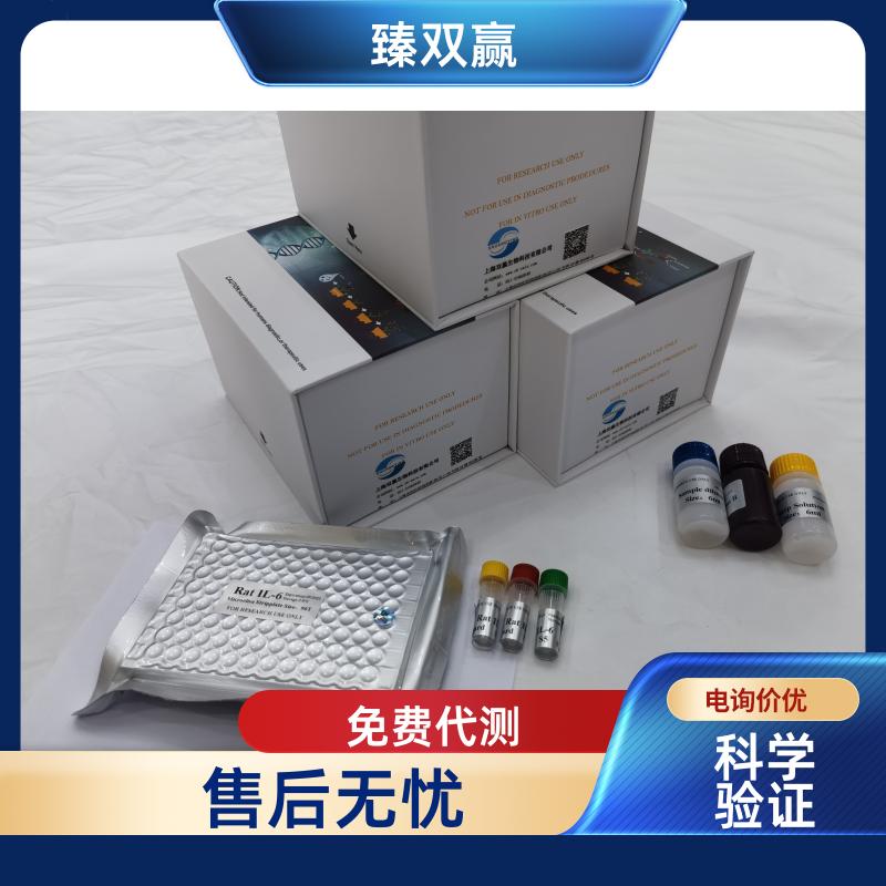 人B细胞淋巴瘤/白血病11B(BCL11B)ELISA试剂盒