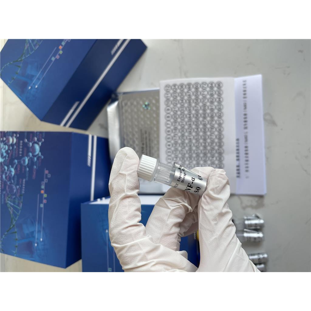 赭曲霉毒素ZK-检测试剂盒