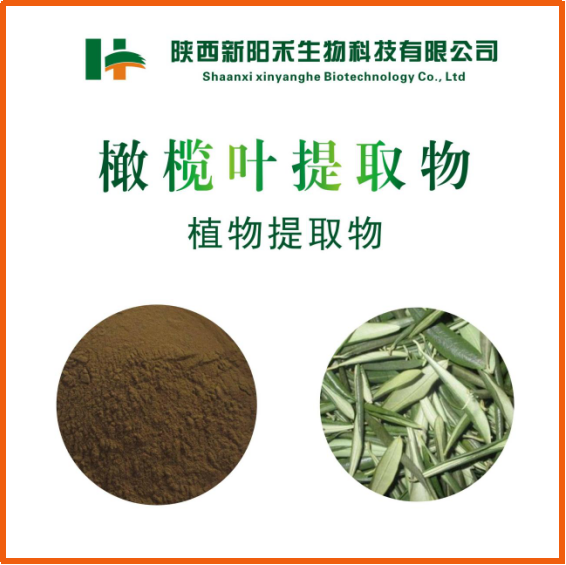 橄榄叶提取物