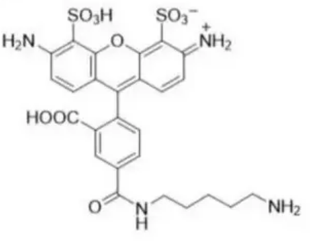 1178534-61-6，AF488 Cadaverine，有明亮的绿色荧光和优越的光稳定性