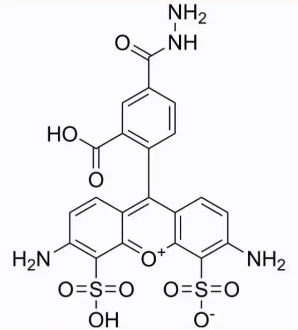 2500973-94-2，AF 488 hydrazide，生物成像与分子标记领域的重要试剂
