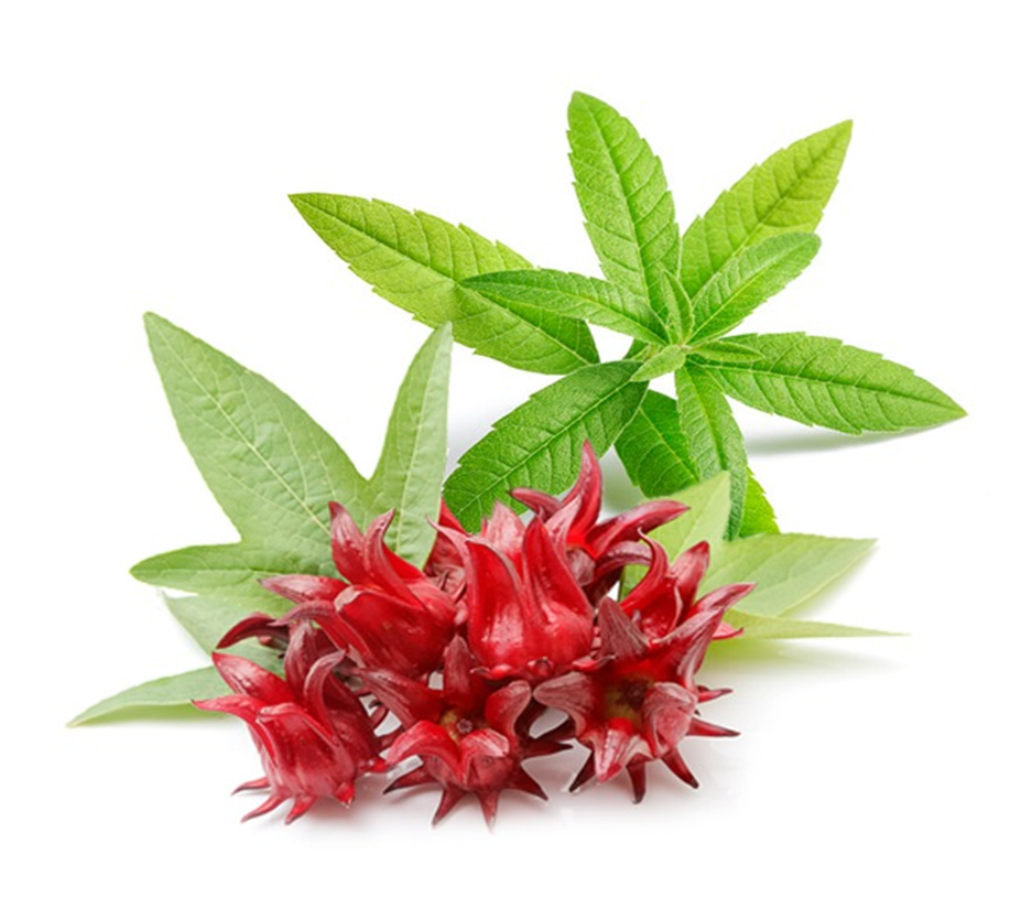 Metabolaid柠檬马鞭草味玫瑰茄粉