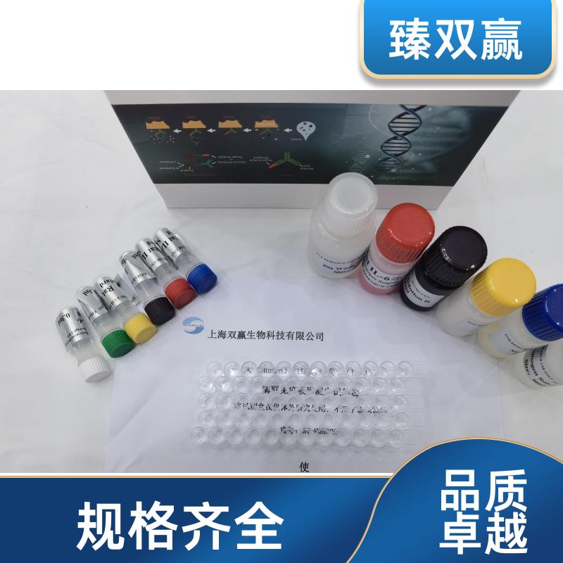 人羧基端结合蛋白2(CTBP2)ELISA试剂盒