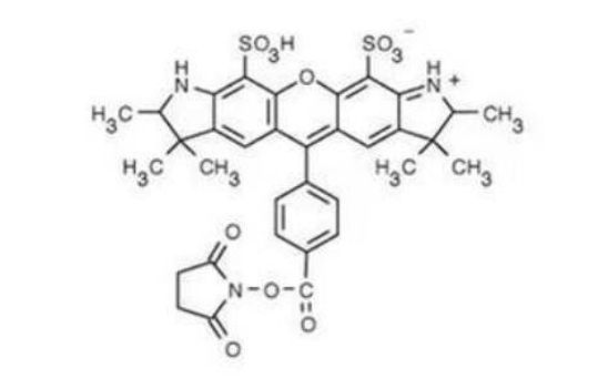 477876-64-5，AF532 NHS ester，氨基特异性荧光标记试剂