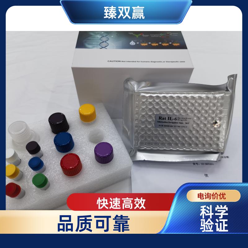 人细胞角蛋白18-M65(CK18-M65)ELISA试剂盒