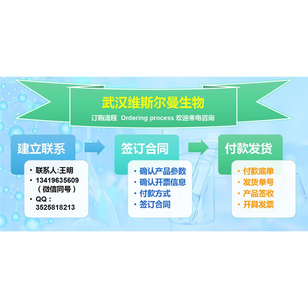 寡核苷酸；诺西那生钠 1258984-36-9 |对照品 | 检测图谱 | 科研试剂 | 维斯尔曼生物