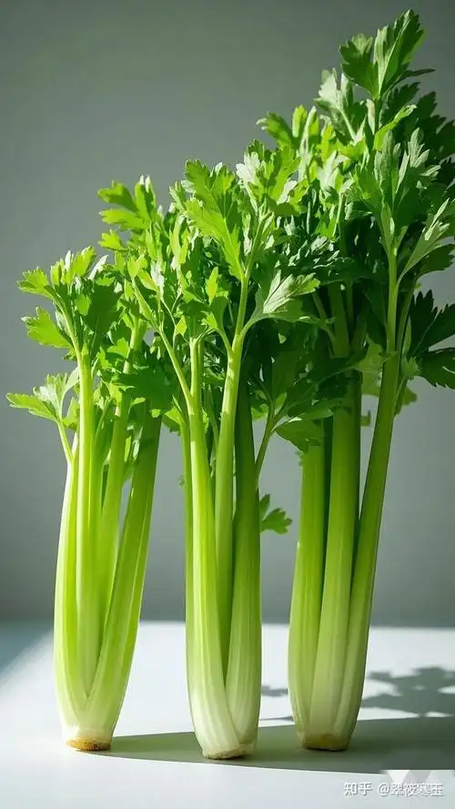 芹菜粉      芹菜汁粉