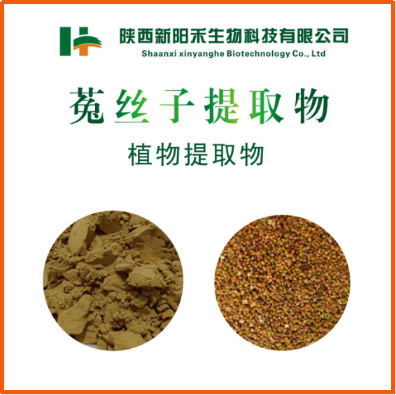 菟丝子提取物