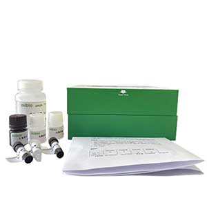 海藻糖合成酶(TS)测定试剂盒/微量法/48样