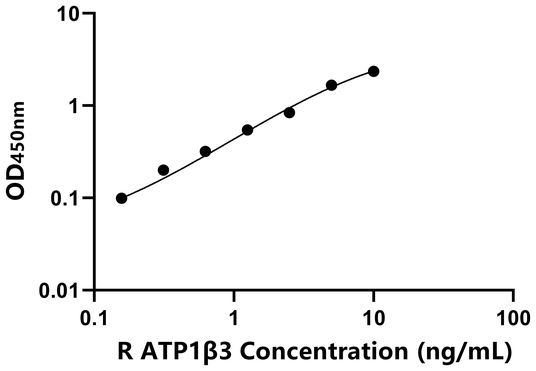 ATP1β3 ELISA KIT / 大鼠钠/钾离子转运ATP酶β3肽 ELISA试剂盒