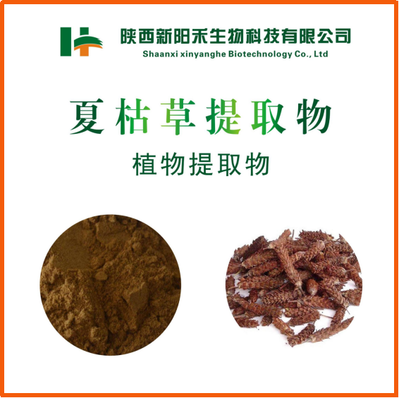 夏枯草提取物