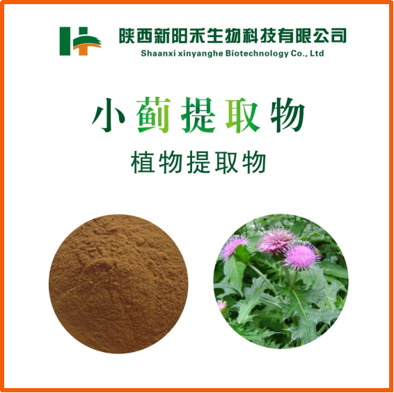 小蓟提取物