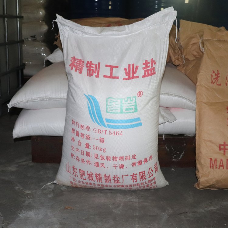 精制工业盐 日晒海盐污水处理用大 颗粒盐纯度高