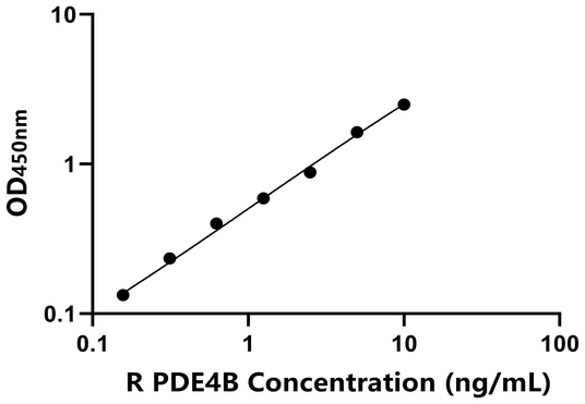 PDE4B ELISA KIT / 大鼠磷酸二酯酶4B ELISA试剂盒  