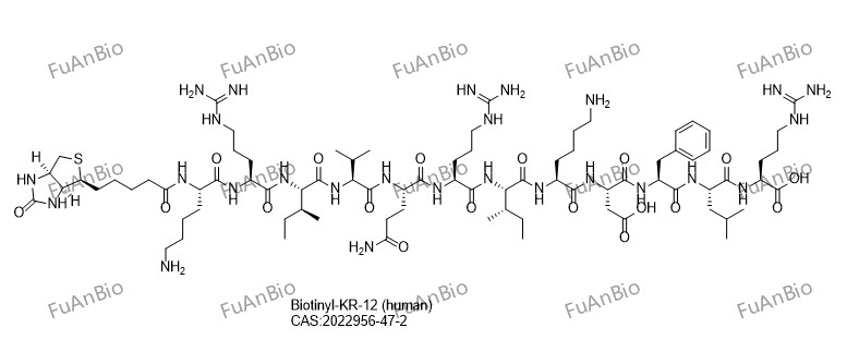 Biotinyl-KR-12 (human)