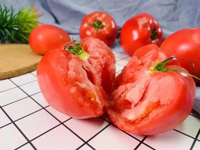 番茄提取物     番茄粉      西红柿粉