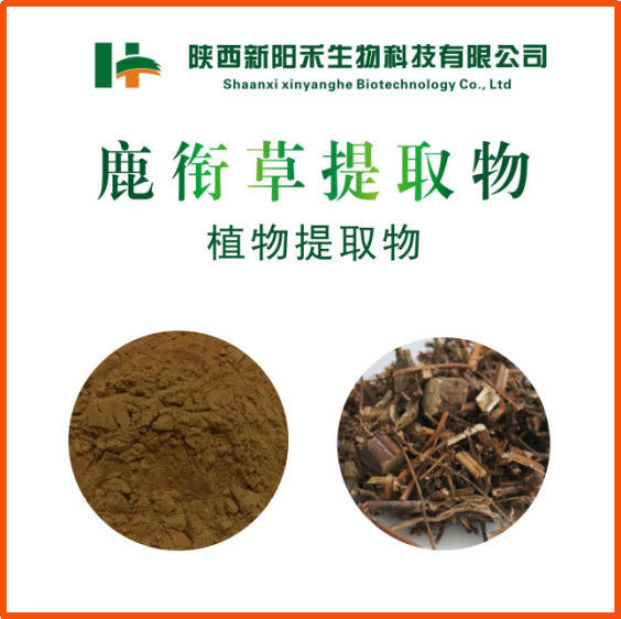 鹿衔草提取物