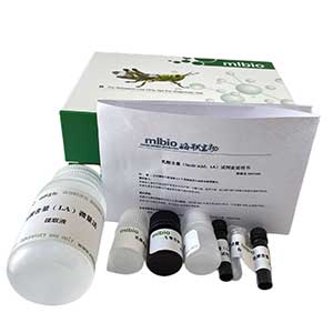 NADP苹果酸酶(NADP-ME)测定试剂盒/微量法/96样