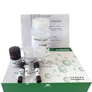 硫氧还蛋白氧化还原酶(TrxR)测定试剂盒/分光光度法/48样