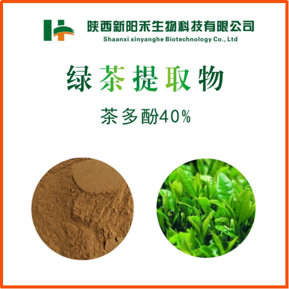 绿茶提取物
