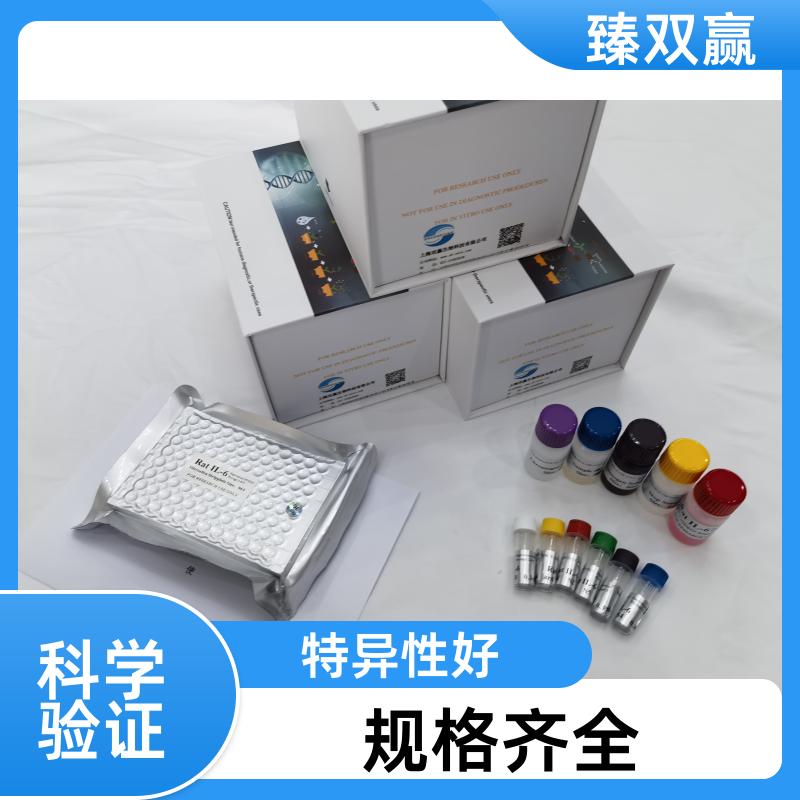 人泛素C末端水解酶L1(Uch-L1)ELISA试剂盒