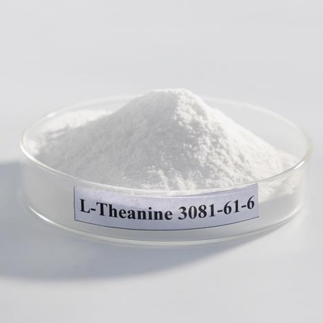 L-茶氨酸 3081-61-6