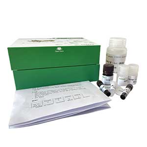 脲酶(UE)测定试剂盒/分光光度法/24样