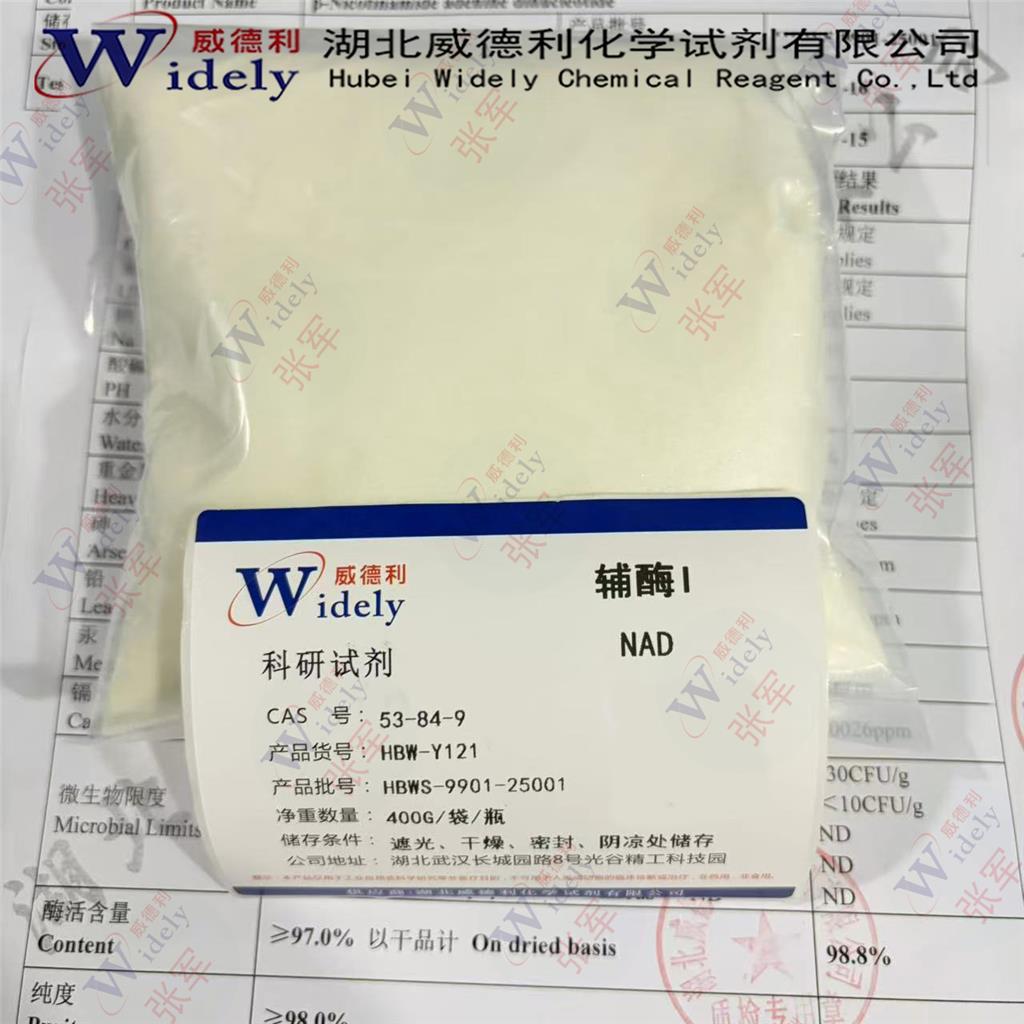 烟酰胺腺嘌呤双核苷酸;氧化型辅酶I NAD+ 53-84-9 99%规格 冻干粉 威德利