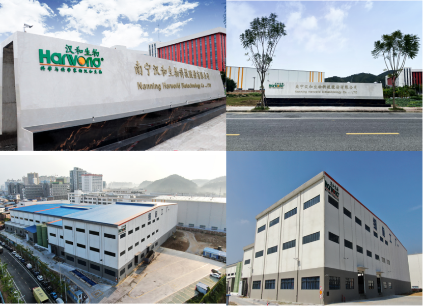 5-氨基乙酰丙酸盐酸盐99%, 日本功能性食品原料，线粒体功能，5-ALA·HCl 99% HPLC检测,