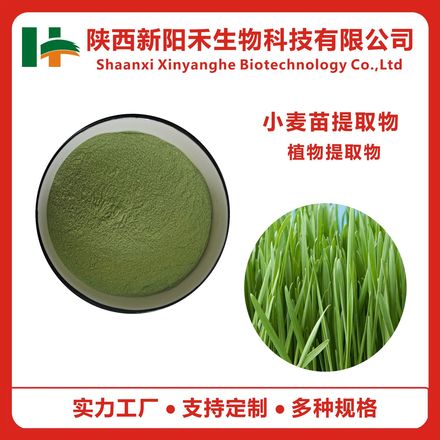 小麦苗提取物