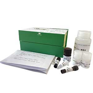 超微量总ATP酶(ATPase)(测红细胞)测定试剂盒/比色法100管/50样