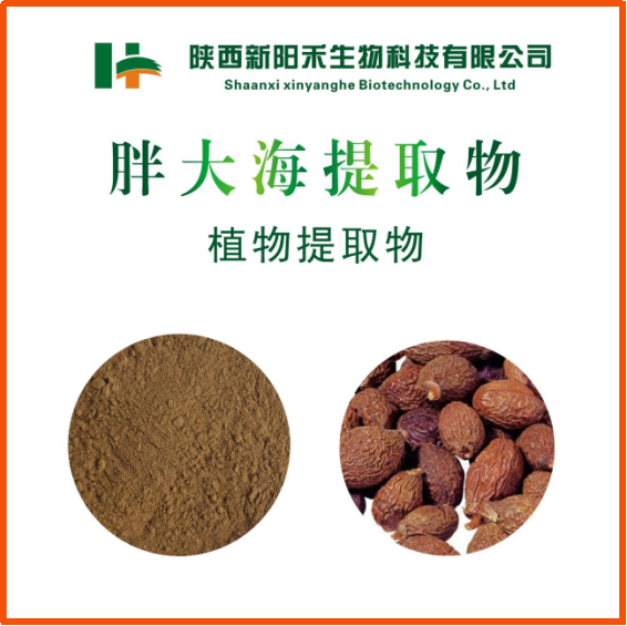 胖大海提取物