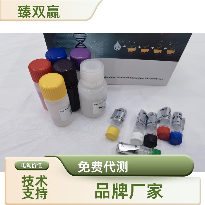 人电碳酸氢钠协同转运蛋白4(NBC4)ELISA试剂盒