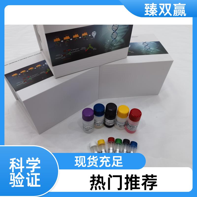 人CX3C趋化因子;fractalkine(FKN;CX3CL1)ELISA试剂盒