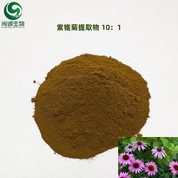紫锥菊提取物 尚诚生物