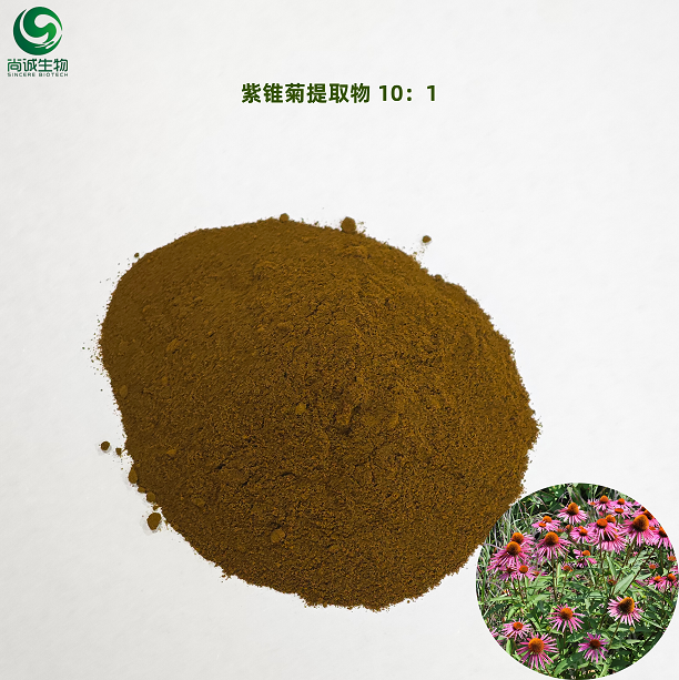 紫锥菊提取物 尚诚生物