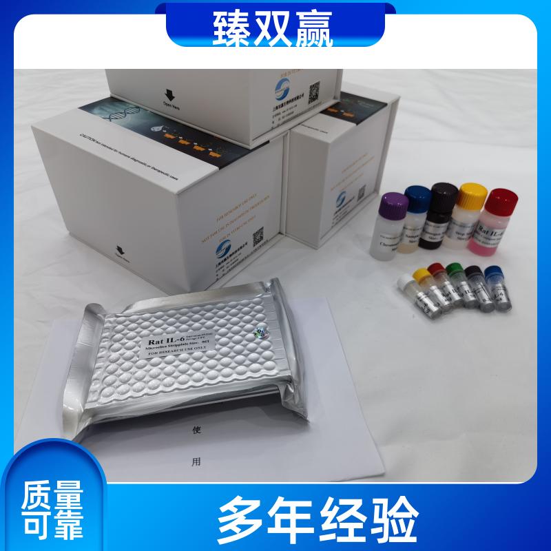 人内质网应激相关蛋白(CHOP)ELISA试剂盒