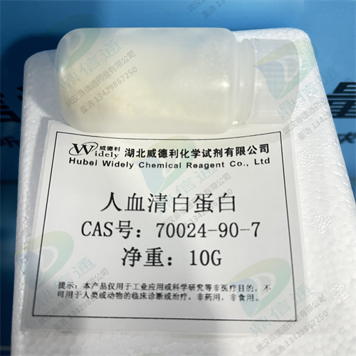 人血清白蛋白；重组人白蛋白