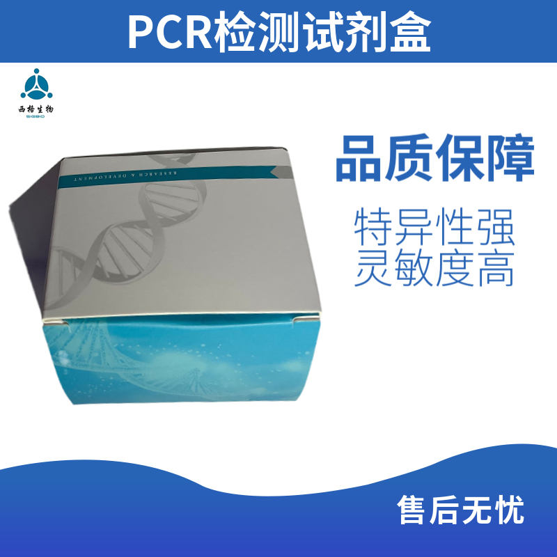 PAT基因检测试剂盒（PCR-荧光探针法）