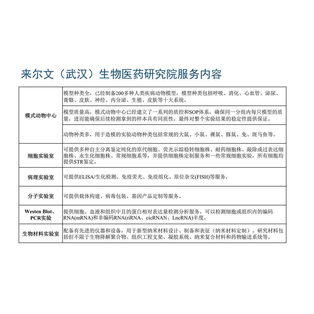 K562人慢性髓系白血病细胞株