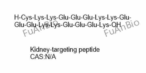 Kidney-targeting peptide