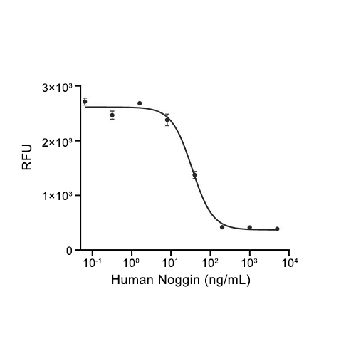 Noggin蛋白, Human (CHO)