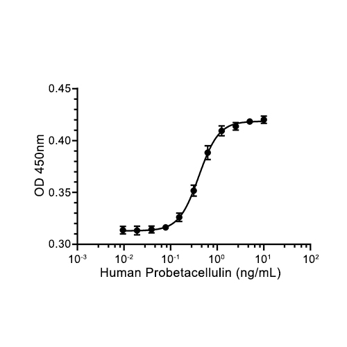 Betacellulin蛋白, Human (HEK293)